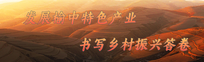 5087a6408eccd2a21e9dd44897a0b4b.jpg